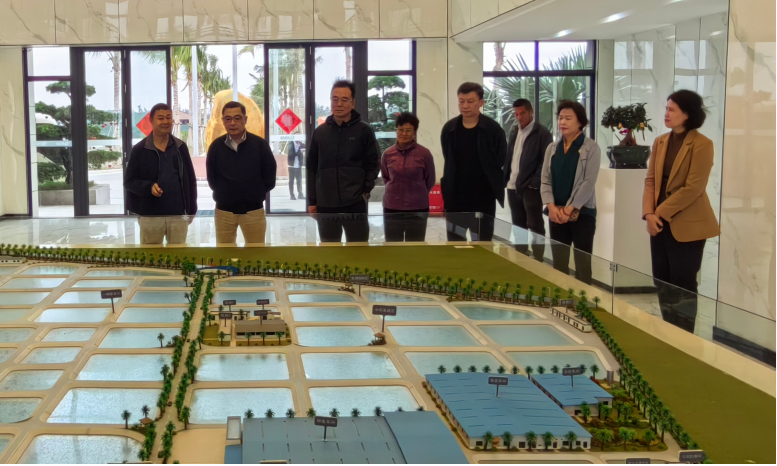 上海市政府黨組成員彭沉雷一行考察晨海陵水種業基地